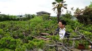 Les ombres de Fukushima Les ombres de Fukushima