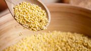 Du millet Du millet