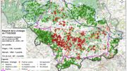 La répartition des 831 sangliers testés positifs à la peste porcine africaine depuis le 13 septembre 2018 La répartition des 831 sangliers testés positifs à la peste porcine africaine depuis le 13 septembre 2018