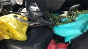 Retrouvée après six jours, coincée dans sa voiture, Corine Bastide est hors de danger Retrouvée après six jours, coincée dans sa voiture, Corine Bastide est hors de danger