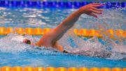 Fanny Lecluyse réussit le minimum pour les JO 2020 sur 200m brasse Fanny Lecluyse réussit le minimum pour les JO 2020 sur 200m brasse