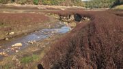 La rivière coule dans son ancien cours, comme si le lac n'avait jamais existé La rivière coule dans son ancien cours, comme si le lac n'avait jamais existé