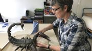 Claire Goovaerts utilise toutes sortes de techniques pour créer ou restaurer des objets qui frapperont l'imagination Claire Goovaerts utilise toutes sortes de techniques pour créer ou restaurer des objets qui frapperont l'imagination
