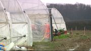 Les surplus ou les légumes abîmé d'une association de réinsertion par le travail sont utilisés par la commune. Elle dispose également de plusieurs hectares pour sa régie agricole. Les surplus ou les légumes abîmé d'une association de réinsertion par le travail sont utilisés par la commune. Elle dispose également de plusieurs hectares pour sa régie agricole.