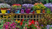 Vous ne regardez pas aux dépenses pour embellir votre jardin Vous ne regardez pas aux dépenses pour embellir votre jardin