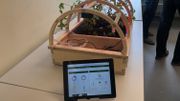 Ce prototype de serre connecté pour faire évoluer l'agriculture de demain Ce prototype de serre connecté pour faire évoluer l'agriculture de demain