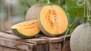 Coups de soleil : des remèdes naturels pour les soigner Coups de soleil : des remèdes naturels pour les soigner