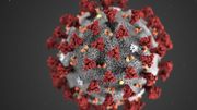 Coronavirus: un patient allemand infecté à Erkelenz (nord-est d'Aix-la-Chapelle), à 60 km de la frontière belge Coronavirus: un patient allemand infecté à Erkelenz (nord-est d'Aix-la-Chapelle), à 60 km de la frontière belge