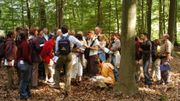 Une multitude d'activtés Une multitude d'activtés