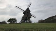 Le moulin trône fièrement à l'entrée d'Ellezelles. Le moulin trône fièrement à l'entrée d'Ellezelles.