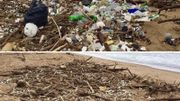 "Trashtag Challenge", le nouveau défi du web ! "Trashtag Challenge", le nouveau défi du web !