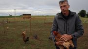 La Ferme des enfants de Saint-Rémy s'ouvre aux familles dès le mois d'août La Ferme des enfants de Saint-Rémy s'ouvre aux familles dès le mois d'août