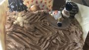 Les dernières bûches ont été décorées Les dernières bûches ont été décorées