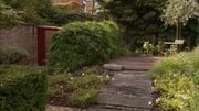 La cabane à outils est camouflée par des bambous La cabane à outils est camouflée par des bambous