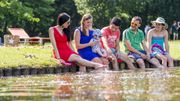 Le domein Ter Heide Le domein Ter Heide