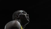 Bolt, en route pour la gloire Bolt, en route pour la gloire