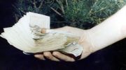 Un policier montre l'une des liasses de billets que les gangsters ont lancé depuis le sommet de la tour à Droixhe. Un policier montre l'une des liasses de billets que les gangsters ont lancé depuis le sommet de la tour à Droixhe.