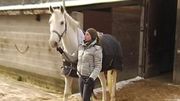 Lorsque les chevaux sont tondus, il est préférable de les couvrir. Lorsque les chevaux sont tondus, il est préférable de les couvrir.