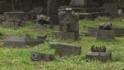 L'état alarmant du cimetière de la Diguette à Angleur L'état alarmant du cimetière de la Diguette à Angleur