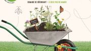 La Fête du Printemps sans Pesticides ce 17 juin à Gesves La Fête du Printemps sans Pesticides ce 17 juin à Gesves