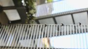 Un jardin et des terrasses à Paris : rare et enviable! Un jardin et des terrasses à Paris : rare et enviable!
