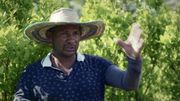 Un retour aux sources exceptionnel sur l'histoire du trafic de drogues Un retour aux sources exceptionnel sur l'histoire du trafic de drogues