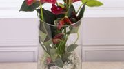 Plantes dépolluantes pour un intérieur sain : l'anthurium Plantes dépolluantes pour un intérieur sain : l'anthurium