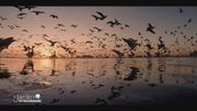 photo extraite du docu "the new wilderness" photo extraite du docu "the new wilderness"
