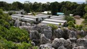 Australie: le docteur australien traitant les réfugiés sur l'île de Nauru va être expulsé Australie: le docteur australien traitant les réfugiés sur l'île de Nauru va être expulsé