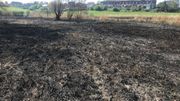 Imprudence ou malveillance? 600 m2 de roseaux en flamme en bordure des étangs de Strépy: une catastrophe pour la nature Imprudence ou malveillance? 600 m2 de roseaux en flamme en bordure des étangs de Strépy: une catastrophe pour la nature