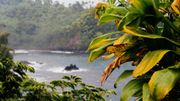 Désormais Ho’oponopono n'est plus cantonné aux paysages de rêve hawaiiens, il fait partie de la panoplie d'outils de développement personnel utilisés chez nous. Désormais Ho’oponopono n'est plus cantonné aux paysages de rêve hawaiiens, il fait partie de la panoplie d'outils de développement personnel utilisés chez nous.