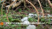 https://praticienecorituels.com/ https://praticienecorituels.com/