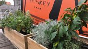 En terrasse, les ingrédients des prochains cocktails En terrasse, les ingrédients des prochains cocktails