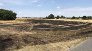 Les pompiers et l'agriculteur sont parvenus à circonscrire l'incendie à ce champ moissonné depuis peu. Les pompiers et l'agriculteur sont parvenus à circonscrire l'incendie à ce champ moissonné depuis peu.