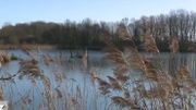 La réserve s'étend sur une superficie de 34 hectares. La réserve s'étend sur une superficie de 34 hectares.
