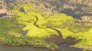 l'oostvaardersplassen vu du ciel l'oostvaardersplassen vu du ciel