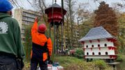 Tournai : rénovés par des élèves de menuiserie, deux pigeonniers rejoignent le jardin de la Reine Tournai : rénovés par des élèves de menuiserie, deux pigeonniers rejoignent le jardin de la Reine