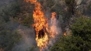 Vague d'incendies en Syrie et au Liban qui appelle ses voisins à l'aide Vague d'incendies en Syrie et au Liban qui appelle ses voisins à l'aide