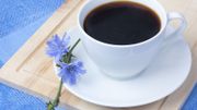 La chicorée... Un succédané de café oublié ! La chicorée... Un succédané de café oublié !