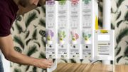 Cozie : du zéro déchet et de la douceur pour des cosmétiques bio Cozie : du zéro déchet et de la douceur pour des cosmétiques bio