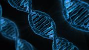Sciences et enjeux éthiques: seriez-vous prêts à partager les données de votre ADN ? Sciences et enjeux éthiques: seriez-vous prêts à partager les données de votre ADN ?