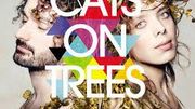 Cats on trees "Cats on trees" Cats on trees "Cats on trees"