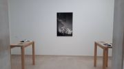 Le pavillon belge à la Biennale de Venise séduit par sa sobriété Le pavillon belge à la Biennale de Venise séduit par sa sobriété