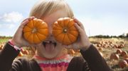 Courges, potirons, coloquintes... N'est-ce pas la saison ? Courges, potirons, coloquintes... N'est-ce pas la saison ?