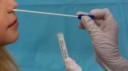 Bilan du coronavirus en Belgique ce 13 août : 639 nouvelles contaminations par rapport au dernier bilan, la stabilisation se confirme Bilan du coronavirus en Belgique ce 13 août : 639 nouvelles contaminations par rapport au dernier bilan, la stabilisation se confirme