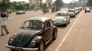 Des coccinelles au Bangladesh Des coccinelles au Bangladesh