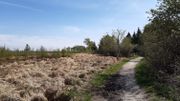 La Réserve Naturelle des Hautes Fagnes reste le site privilégié des promeneurs. La Réserve Naturelle des Hautes Fagnes reste le site privilégié des promeneurs.