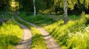 Le centre culturel de Theux vous invite à une balade sous le thème « Promenons – nous dans les bois » Le centre culturel de Theux vous invite à une balade sous le thème « Promenons – nous dans les bois »