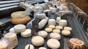 Des fromages, pleins de fromages, trop de choix ! Des fromages, pleins de fromages, trop de choix !