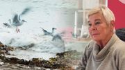 Il était un petit navire, l'essai filmo-biographique de Marion Hänsel Il était un petit navire, l'essai filmo-biographique de Marion Hänsel